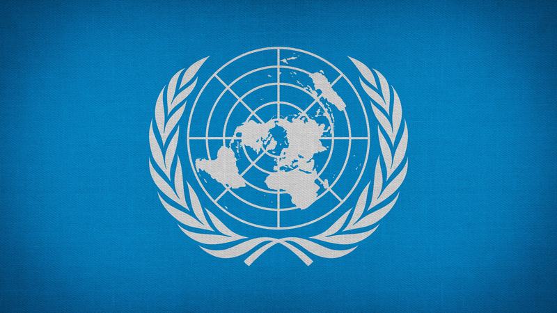 Brazil 2022: The expert committee of the UN Human Rights Council calls on the government to withdraw the parental alienation law